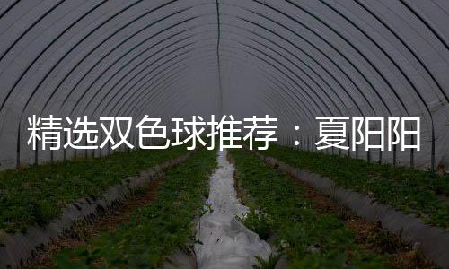 大专等2中2夏阳衔三万阳领精选荐家同球推双色