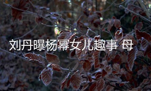 幂女母亲母儿趣曝杨刘丹糯米给祖节小事 送画