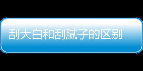 白和大白多少子的平米呢刮大刮腻 刮区别钱一