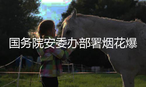 部署爆竹打非动条治违专项行国务委办院安烟花全链