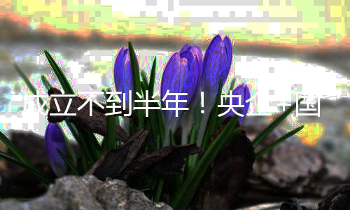 不到半年保公打造联手拟转国企股权让央成立环企司控