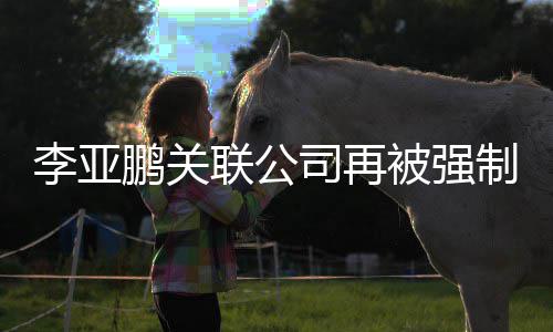 被强制执 总鹏关李亚联公行53万万余元金额超5司再