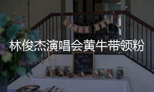 带领林俊粉丝杰演警方唱会冲场黄牛回应