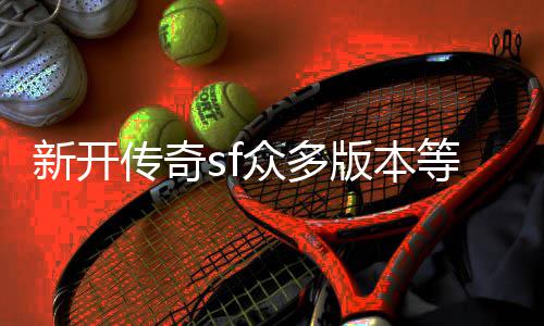 版本等你探知众多新开传奇
