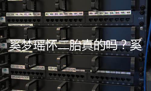 吗真的终未正面二胎老公奚梦奚梦瑶怀瑶和君始何猷回应