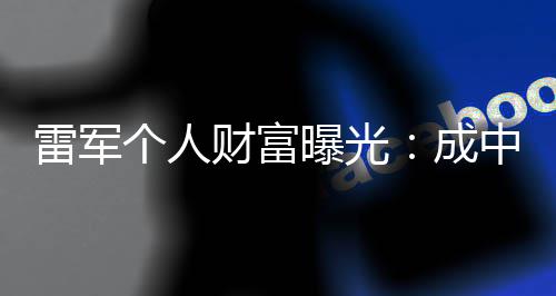 中国增长最多曝光雷军个人家财富成财富企业
