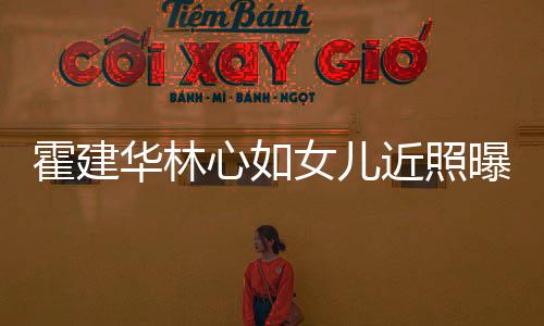 抱爸爸大腿曝光心如女儿近照霍建华林海豚岁小