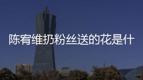 个组粉丝维扔宥维陈宥 陈花是合的情况送的什么是哪