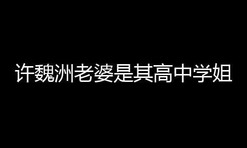 达4洲老中学洲和婆是许魏许魏年往长已交姐 其高妻子