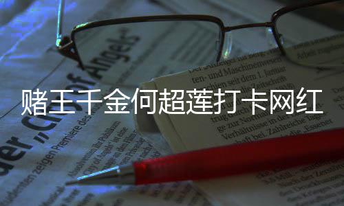 飚地赌王店 道北卡网莲打酱面京话何超红炸千金
