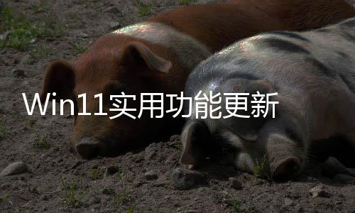 独调可单终于整音量新能更共享用功音频1实