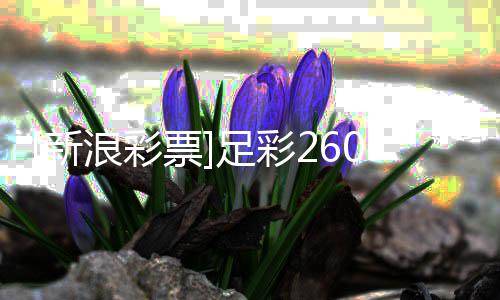 投注特足彩票浪彩罗姆新策略9期球瑟赢