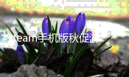 队占得先准烈豹两双逆转顾全贡献机，庆深圳山东生